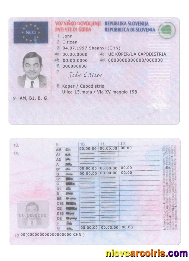 Slovenia driving license